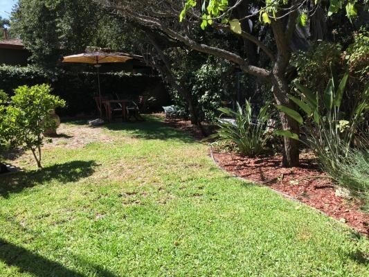 Side yard - 741 Elmira St