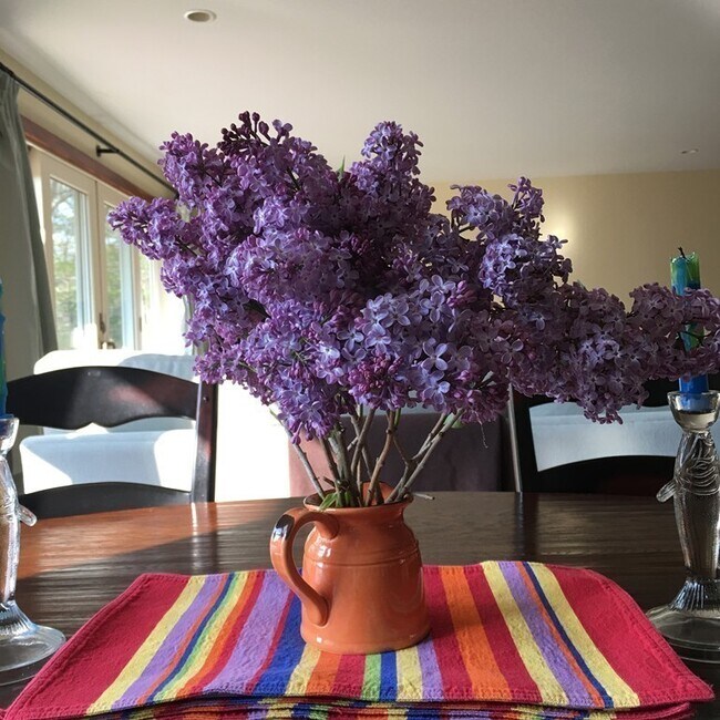 Foto del edificio - 27 Beach Plum Ln