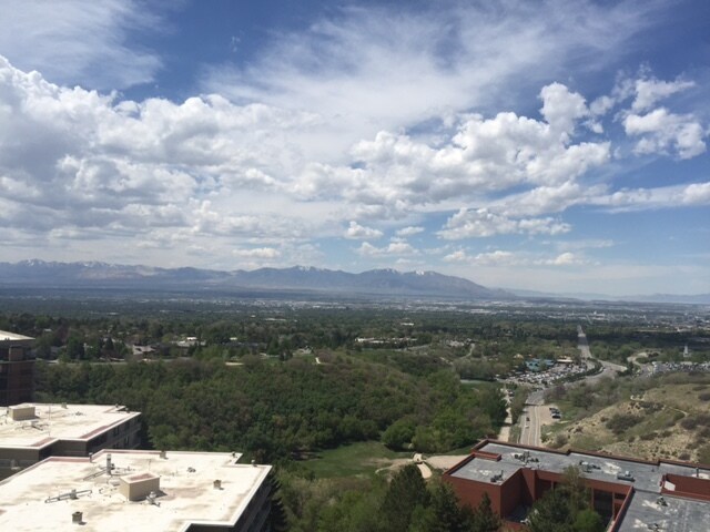 VIew from Living Room - 875 S Donner Way