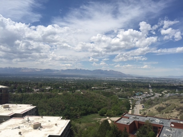 VIew from Living Room - 875 S Donner Way