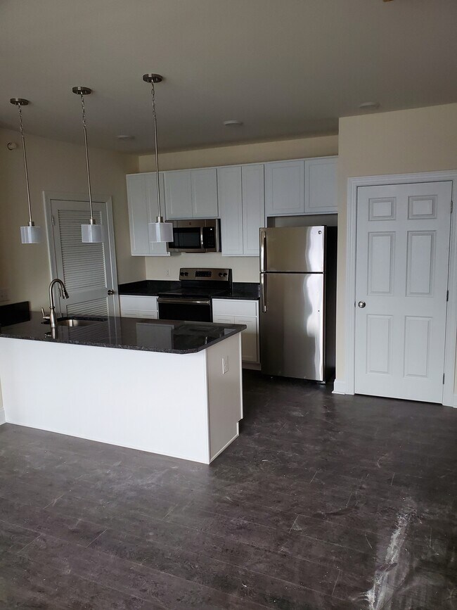 1033 W Bridge St Unit 203, Phoenixville, PA 19460 Apartments in