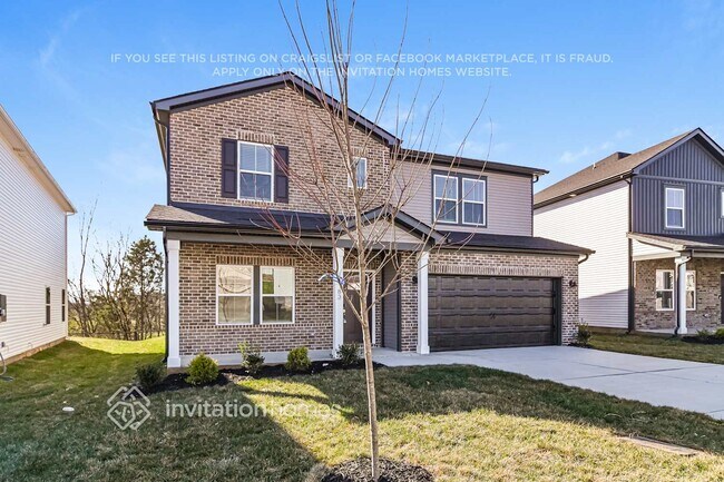 Building Photo - 1183 Bluffton Cir