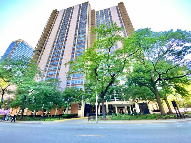 Foto del edificio - 1255 N Sandburg Ter