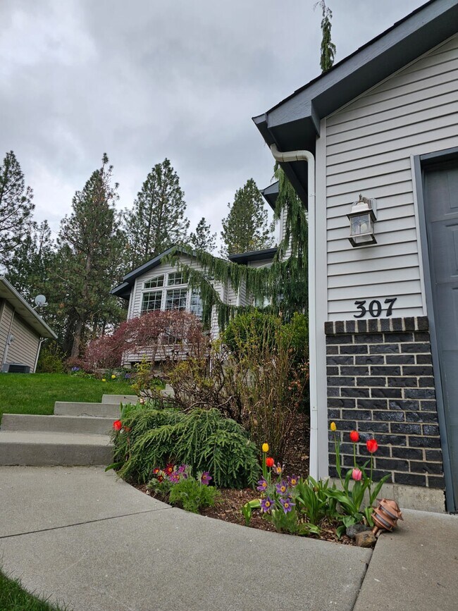 Building Photo - 307 W Auburn Crest Ct