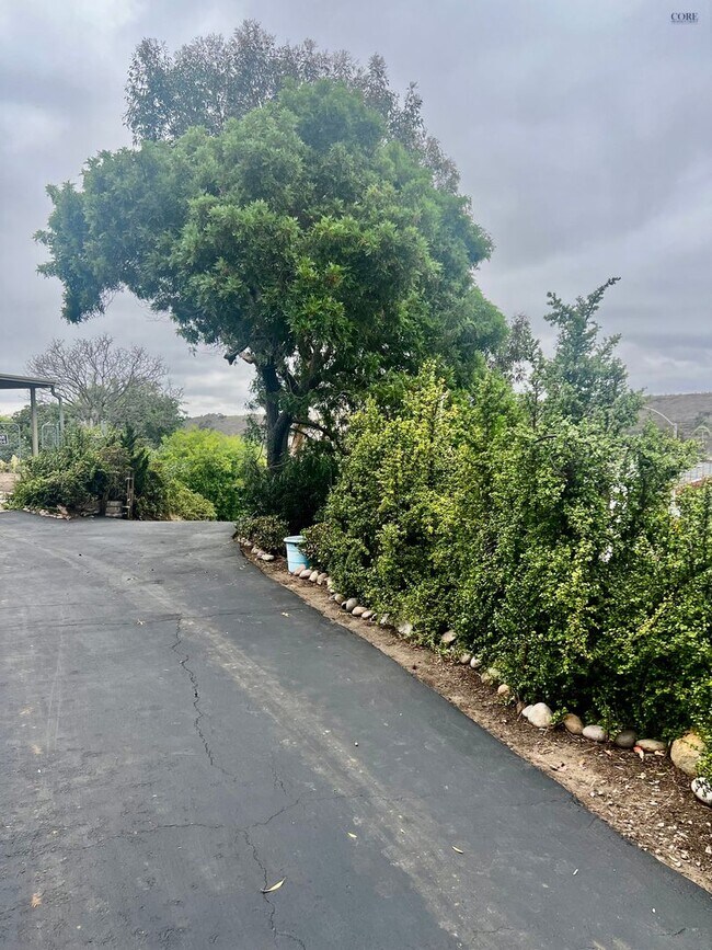 Building Photo - Hidden Gem with Views! 2 bedroom, 1 bathroom