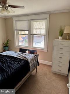 Foto del edificio - 421 N Chestnut St