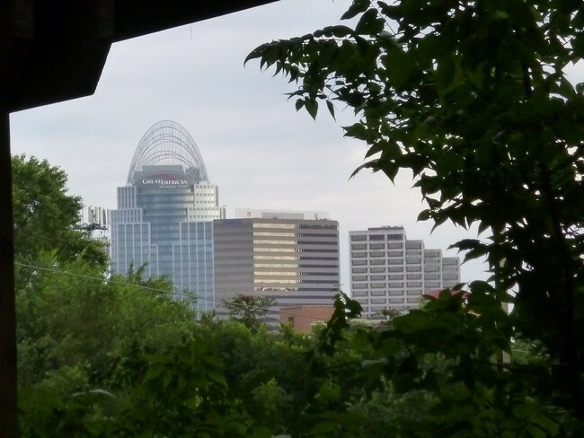View from deck - 139 Mulberry St