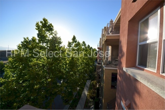 Building Photo - Spacious 2 Bed/2Bath. New Carpet/Paint