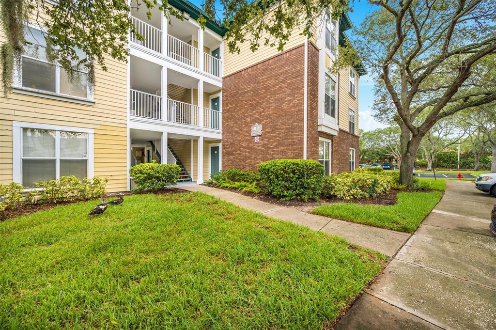 4115 Chatham Oak Ct Unit 209, Tampa, FL 33624 Condo for Rent in Tampa