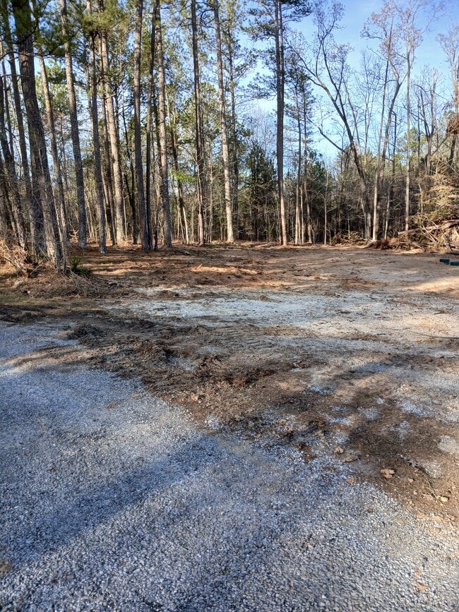 Building Photo - 161 Carpenters Ln