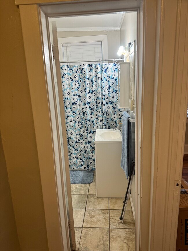 Baño - 803 E Park Ave