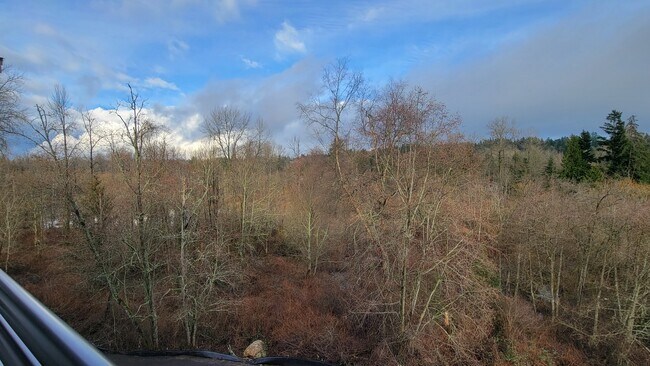 View from Deck of #413 - 2401 Lake Dr