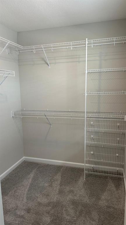 Building Photo - 4988 Prairie Preserve Run