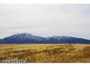 Building Photo - 4 br, 2 bath House - 1600 Outer Loop Road