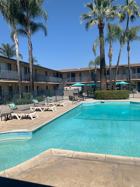 Piscina trasera - Covina Palms Apartments