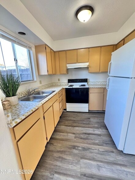 Building Photo - 825 Belli Dr