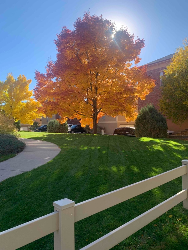 Foto del edificio - 2803 Kansas Dr