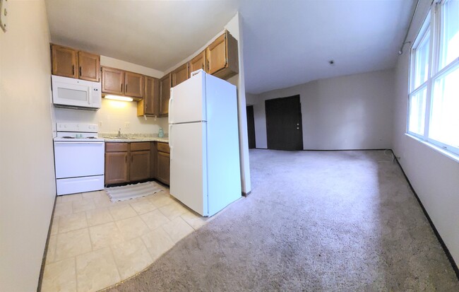 living area with kitcen - 12 W Mill St