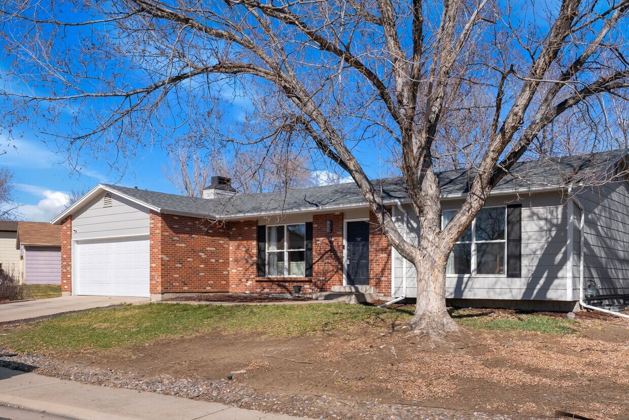 Primary Photo - 9132 Albion St