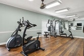 This fitness center offers a well-appointed, single-level workout space designed to accommodate a variety of exercise routines. The room features warm hardwood flooring throughout, complemented by soft sage-green walls accented with white chair rail molding and crown molding, lending the space a polished, residential feel. A textured ceiling with flush-mounted fluorescent light fixtures and a decorative ceiling fan ensures consistent, bright illumination across the entire area.

Natural light filters in through a set of French doors along one wall, providing both outdoor views and ventilation. A full-width wall mirror on one side of the room visually expands the space and serves as a functional training aid. Built-in shelving on the opposite wall houses a wall-mounted television and provides organized storage for free weights, including a neatly racked dumbbell set.

The fitness center is equipped with a range of cardio machines, including a treadmill, elliptical trainer, and stationary bikes, as well as a multi-station cable strength machine and adjustable weight bench. The open floor plan allows for comfortable movement between equipment. The overall ambiance is clean, bright, and functional, making it a practical and inviting environment for daily exercise.