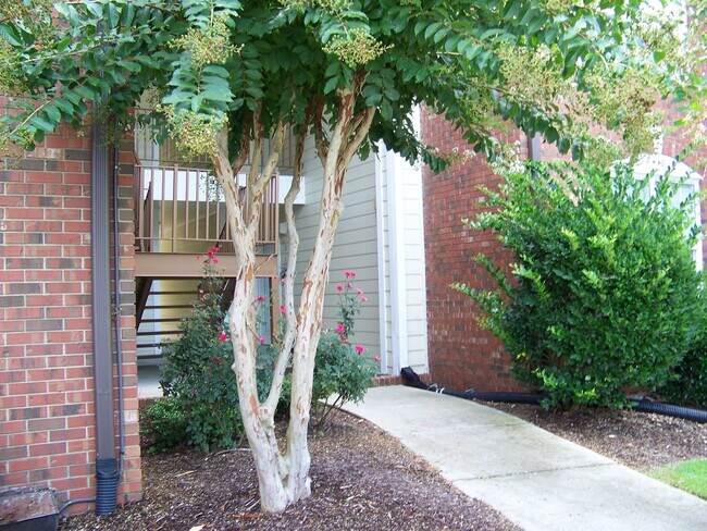 Foto del edificio - ELK RIDGE OF SOUTH VIEW CONDOMINUMS