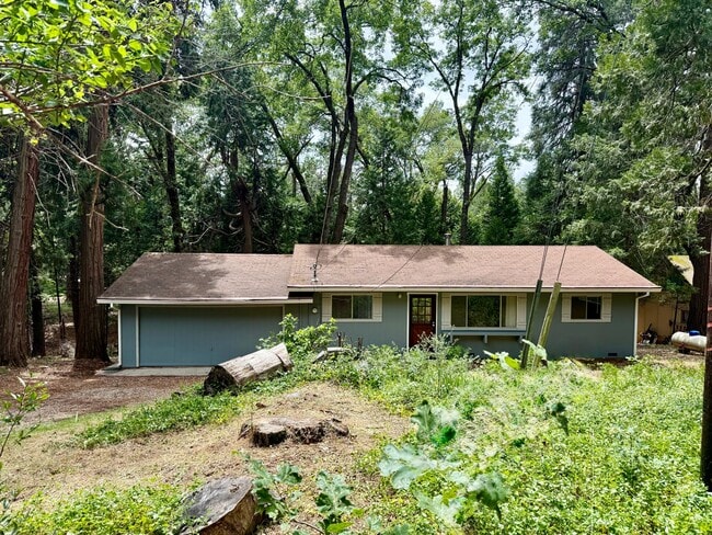 Building Photo - 11599 Upper Pine Hill Dr
