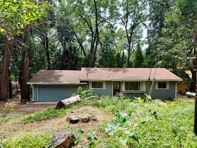 Foto del edificio - 11599 Upper Pine Hill Dr