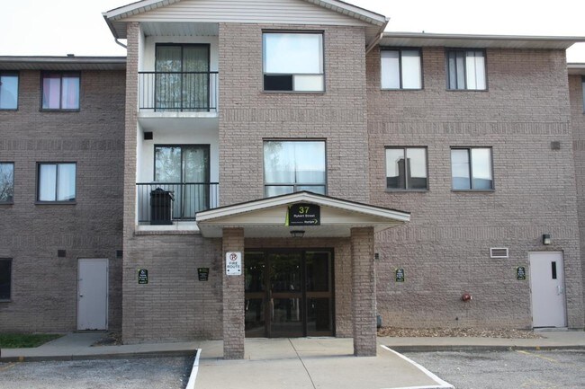 Building Photo - 37 Rykert St