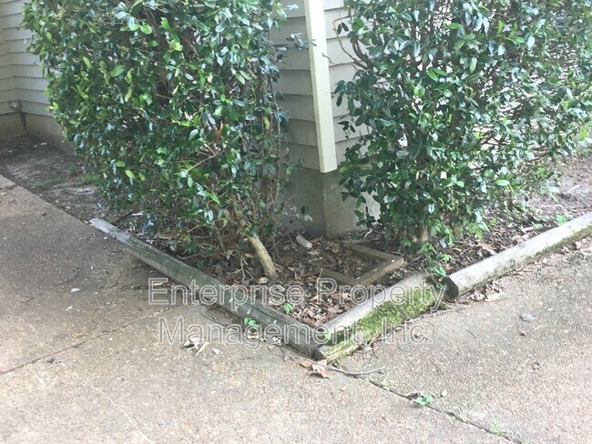 Foto del edificio - 7019 Shadow Oaks Dr