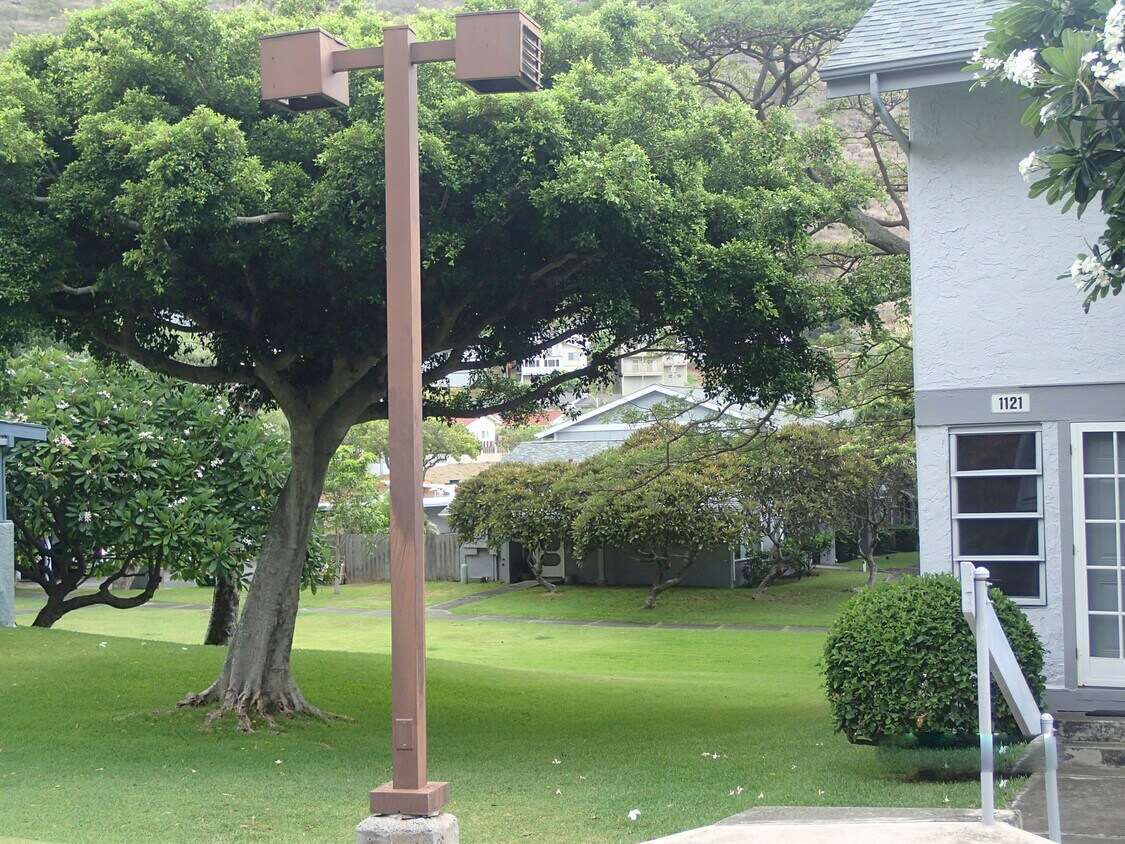 Side shared yard - 1121 Kumukumu St #A