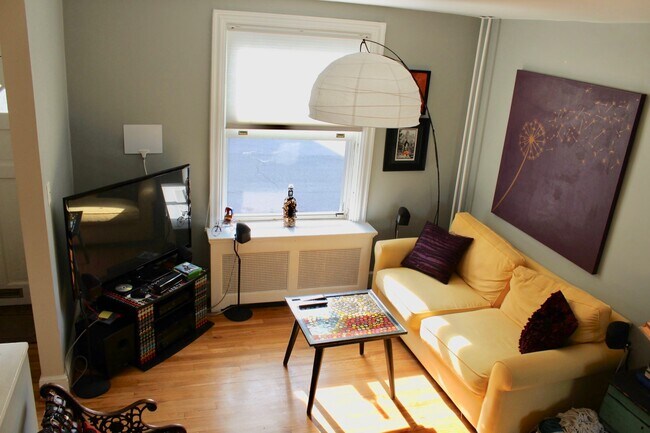 Living room (1st floor front) - 337 North Mary Street