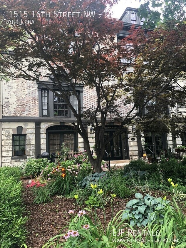 Primary Photo - 1515 16th St NW