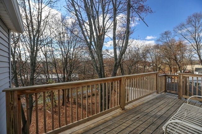 Back Deck - 14 Jefferson St