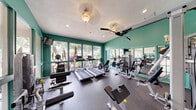 This fitness center is a compact yet thoughtfully organized workout space designed to support a full range of exercise routines. The room is immediately distinguished by its bold teal-painted walls, which lend an energetic and refreshing atmosphere throughout. Large windows along one wall flood the space with natural light while offering views of lush, tropical greenery and palm trees outside, creating an inviting environment for exercise.

The flooring consists of durable rubber gym matting, providing both safety and comfort underfoot. Full-length mirrors are mounted along one wall, visually expanding the room and allowing users to monitor their form during workouts. The ceiling features recessed lighting alongside a decorative ceiling fan, ensuring the space remains well-lit and well-ventilated.

Cardio equipment includes multiple treadmills, stationary bikes, and an elliptical machine, all arranged to take advantage of the natural light from the windows. Strength-training equipment includes a multi-function cable machine, a leg press machine, and a weight bench, offering options for a comprehensive full-body workout. The fitness center connects to an adjacent lounge or common area through glass-paneled interior walls and French doors, maintaining a sense of openness. A posted fitness center rules board is visible near the entrance, indicating this is a shared community amenity.