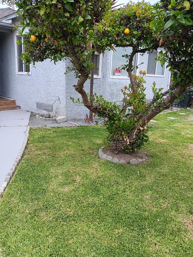 Foto del edificio - 3919 Fernwood Ave