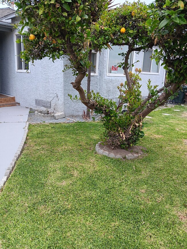 Photo - 3919 Fernwood Ave House