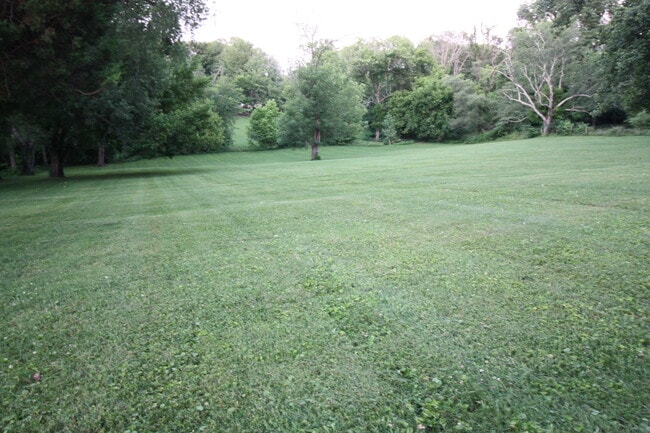Building Photo - 203 Dorsey Way