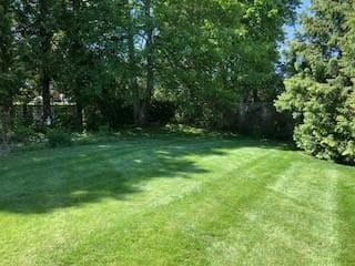 Building Photo - 421 Bellevue Ave