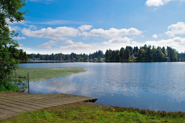 Forest Grove Apartments Apartments - Lacey, WA | Apartments.com