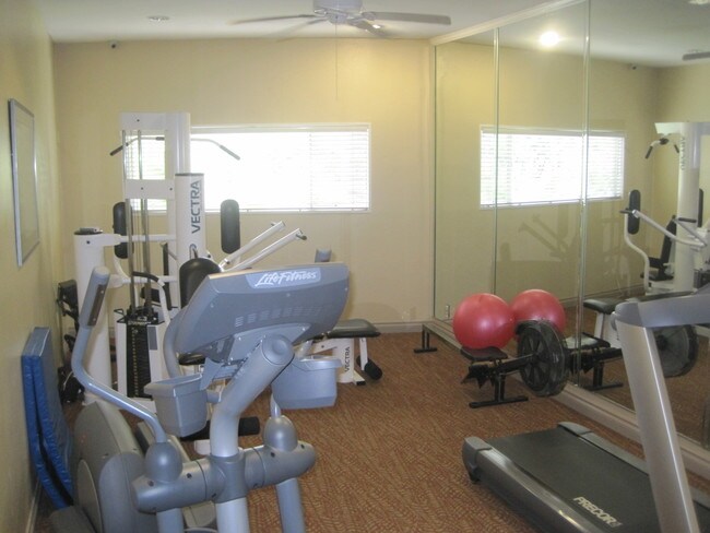 Project's Gym - 222 7th St