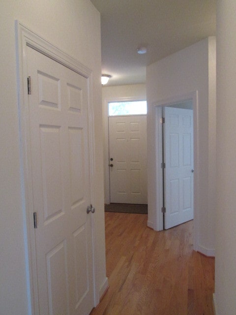 Foto del edificio - Brick-Front West End 4 Bed, 3 Full Bath To...
