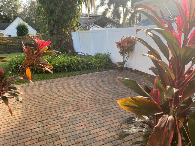 patio overlooking yard - 612 Stetson St