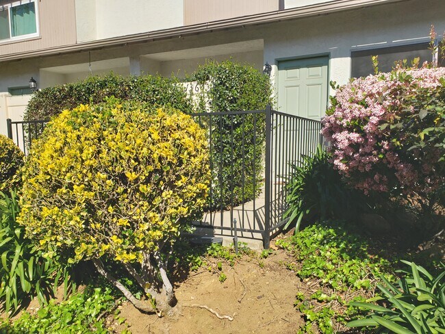 Puerta principal - 1360 Alessandro Dr