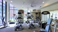 This fitness center offers a thoughtfully designed workout environment built to accommodate a range of cardio-focused exercise routines. The space is outfitted with a row of modern TRUE-brand elliptical trainers and additional cardio equipment, each unit featuring its own individual screen for entertainment during workouts. Multiple wall-mounted flat-screen televisions are positioned throughout the room, ensuring visibility from virtually any machine. Large floor-to-ceiling windows line the perimeter, flooding the interior with abundant natural light and providing open views of the surrounding outdoor greenery. The bright, airy atmosphere is further enhanced by ceiling fans that promote air circulation throughout the space. Recessed lighting in the smooth white ceiling supplements natural light during all hours of operation. The floor is finished with a durable, textured carpet well-suited for a high-traffic fitness environment. The layout is open and well-organized, allowing for comfortable movement between equipment. An arched architectural detail near the entrance adds a subtle design element that distinguishes the space. Overall, this fitness center combines functional equipment, quality natural lighting, and a clean, modern aesthetic to create an inviting and effective environment for daily exercise.