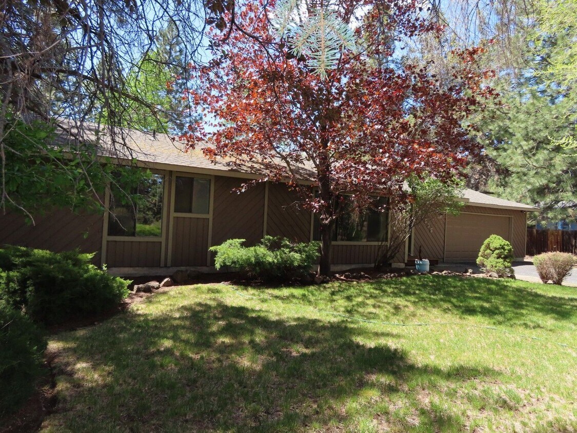 Primary Photo - 3 br, 2 bath House - 20535 Woodside Court