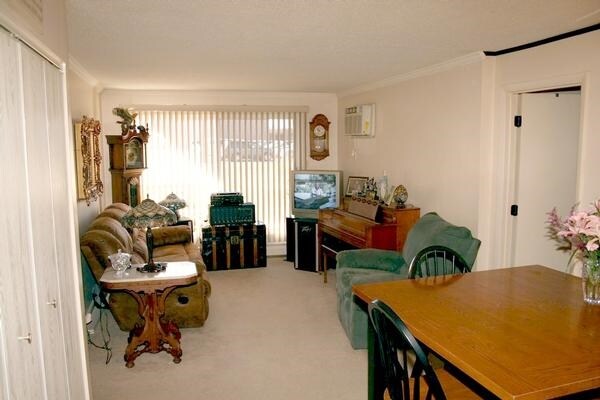 Interior Photo - Sugar Maples