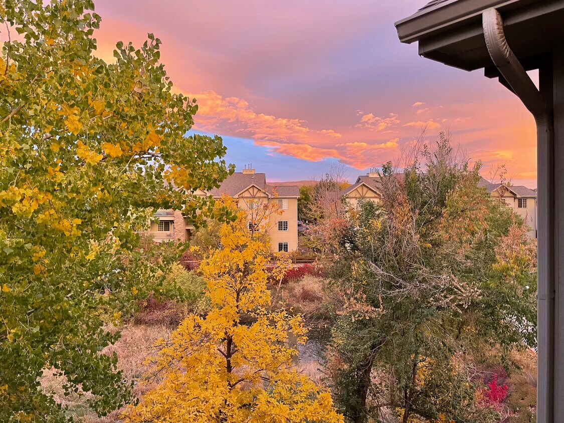 10331 W Girton Dr Unit 202, Lakewood, CO 80227 Condo for Rent in