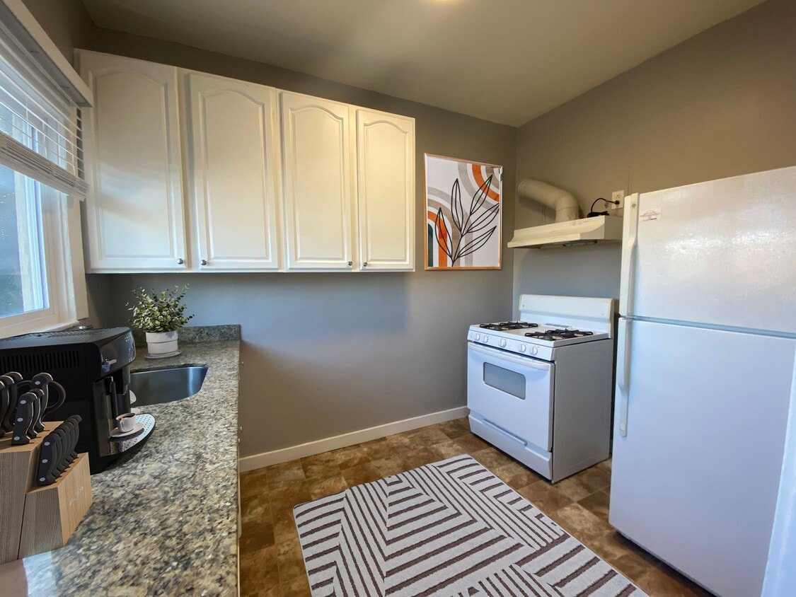 Primary Photo - 2044 International Blvd - Sunny Studios an...