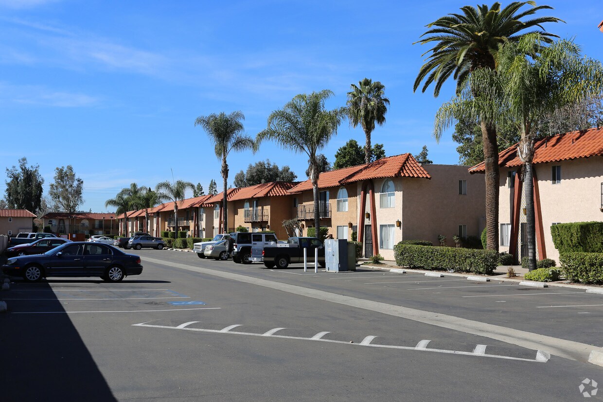 Primary Photo - Anza Palms