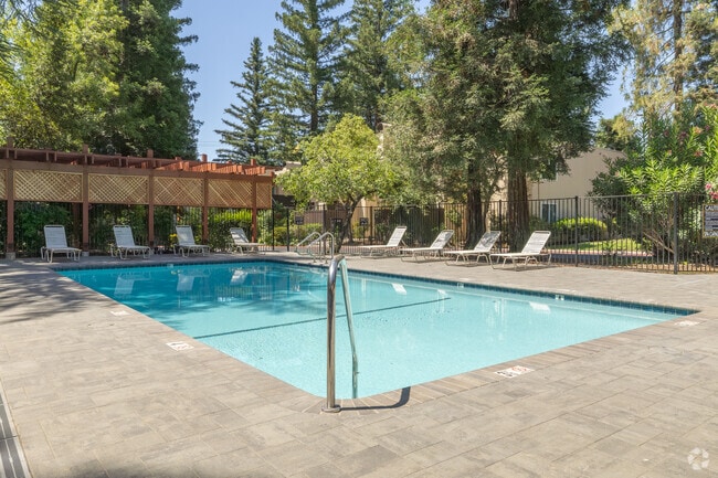 Pool - Linden Lane Apartments